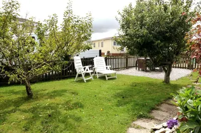 two chairs in a yard with trees and a fence at Parc Trethias in St Merryn