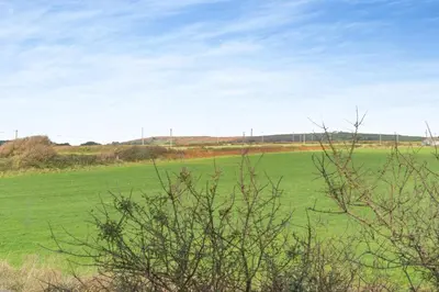 a large green field with trees in the foreground at 1 Bed in Rinsey oc-1chapl in Praa Sands