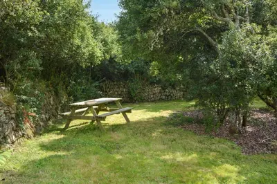 a picnic table sitting in the grass under a tree at 2 Bed in Rinsey oc-2chapl in Praa Sands