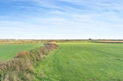 a field of green grass with a dirt road at 2 Bed in Rinsey oc-2chapl in Praa Sands