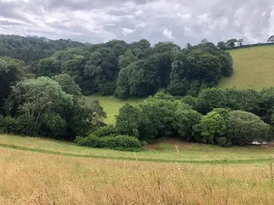 an open field with trees in the background at 1 Bed in Trehunist oc-chretr in Quethiock