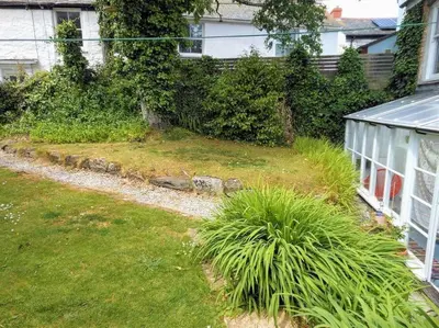 a yard with a house and a plant at Lovely cottage with private garden in Penryn