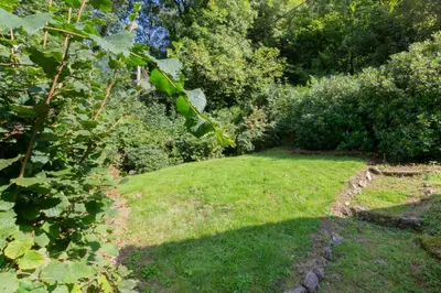 a garden with green grass and trees and bushes at 3 Bed in Lostwithiel oc-cmerl in Saint Winnow