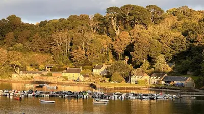 a bunch of boats are docked in a harbor at 3 Bed in Helford oc-hccott in Helford