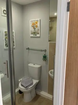 a bathroom with a toilet and a shower at The parlour in Bodmin