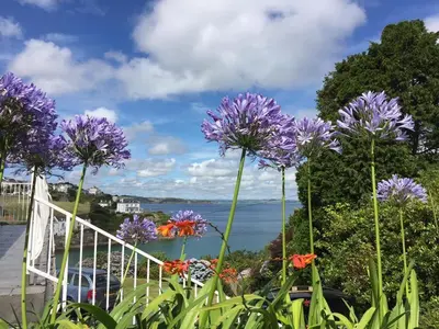 a bunch of purple flowers in front of the water at 3 Bed in Mevagissey oc-windru in Mevagissey