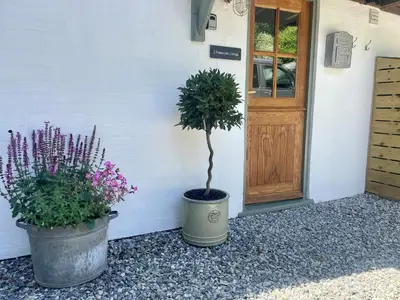 two potted plants sitting in front of a door at 2 Penmayne Cottage in Saint Minver