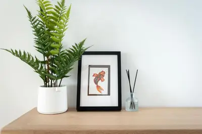 a shelf with a picture and a plant on it at The Hideaway, Modern 3 bed in Tintagel, Cornwall in Tintagel