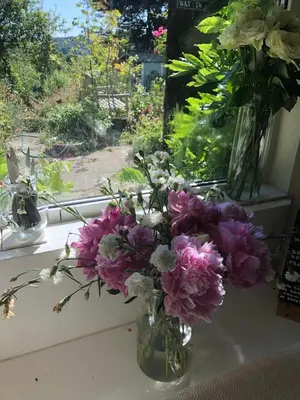 a vase filled with flowers sitting on a window sill at Vine Cottage in Penpillick