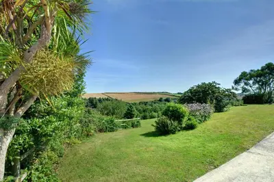 a garden with a palm tree next to a sidewalk at 1 Bed in Wadebridge oc-p00440 in Saint Issey