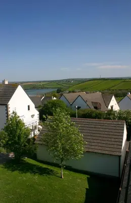 a village with houses and a tree in the grass at 2 Bed in Padstow oc-p00531 in Padstow