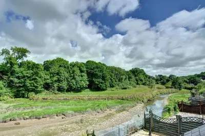 a view of a river with trees in the background at 2 Bed in Little Petherick oc-p00635 in Little Petherick