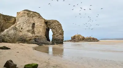 a group of birds flying over a beach with rocks at 1 Bed in Mitchell oc-p00750 in Mitchell