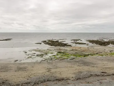 a beach with rocks and algae in the water at Pebbles in Torpoint