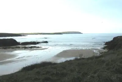 a beach with a bird flying over the water at Owl House in Wadebridge