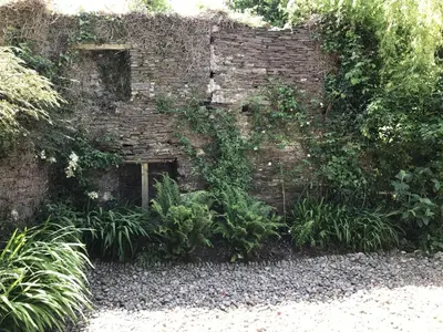 a brick wall with plants growing on it at Owl House in Wadebridge