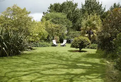 two white chairs sitting in a lawn with trees at Tregadjack Barn in Crowan