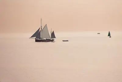 a group of boats floating on a large body of water at Sally Port Cottage in Saint Mawes