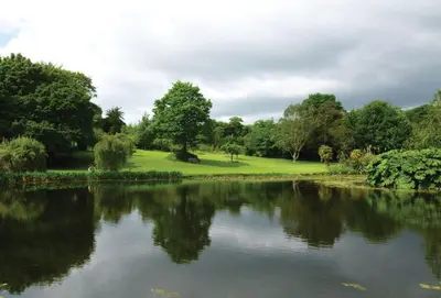a view of a pond in a park with trees at Spring Water Barn in Helston