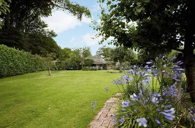 a garden with purple flowers in front of a house at Mews Cottage in Helston