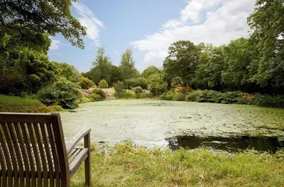 a park bench sitting in front of a pond at Mews Cottage in Helston