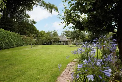 a garden with purple flowers and a house at St Corantyn Cottage in Helston