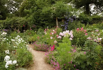 a garden filled with lots of different colored flowers at St Corantyn Cottage in Helston