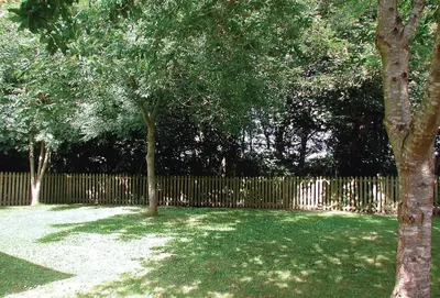 a yard with trees and a wooden fence at St Corantyn Cottage in Helston