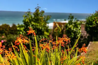 a field of flowers with the ocean in the background at 3 Bed in St. Ives oc-trecar in St Ives