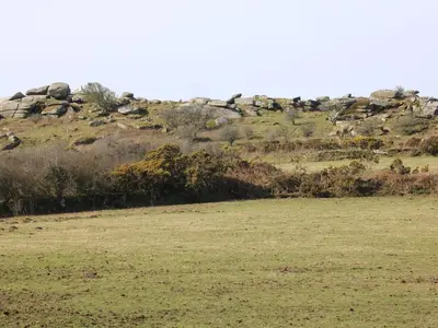 a group of rocks on a hill in a field at 17 River Banks in Liskeard