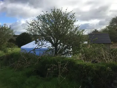 a tree in the middle of a field with a building at Higher Trenear Farm Yurts in Helston