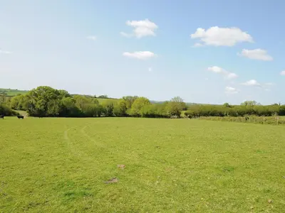 a field of green grass with a road in it at Mill House in Lostwithiel