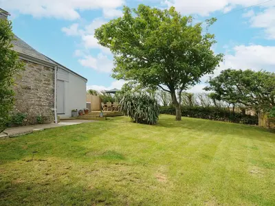 a yard with a tree and a house at Carvannel Cottages in Camborne
