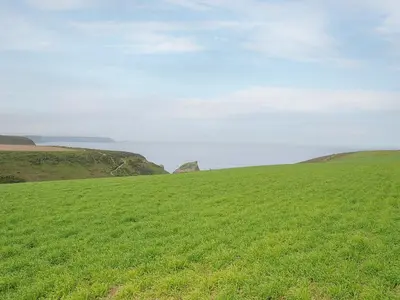 a field of green grass with a rock in the distance at Carvannel Cottages in Camborne