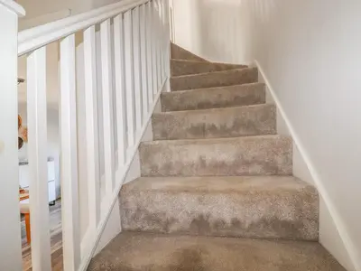 a staircase with a carpeted stair case at The Waves in Newquay