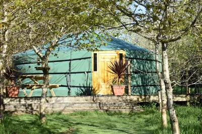 a green trailer with a door and a potted plant at The Yurt in Cornish woods a Glamping experience in Penzance