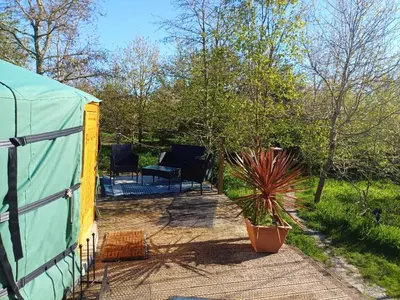 a tent and a potted plant in a yard at The Yurt in Cornish woods a Glamping experience in Penzance