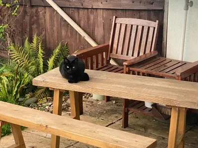 a black cat sitting on a bench next to a chair at Bodmin Rest 4 U in Bodmin