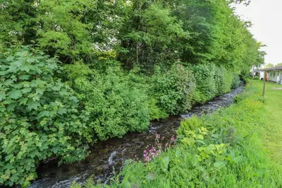 a stream with bushes and flowers next to a river at 11 Tremore in Liskeard