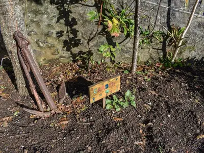 a sign in the dirt next to a tree at Picturesque Cabin in Cornwall in Camborne