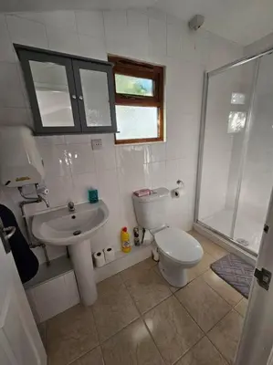 a bathroom with a toilet and a sink and a shower at Picturesque Cabin in Cornwall in Camborne
