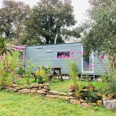 Olive's Cabin