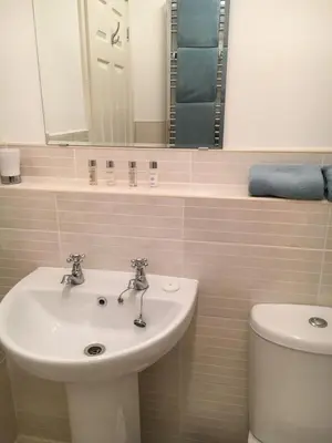 a bathroom with a sink and a toilet at The Waterwheel Apartment, Charlestown in Charlestown