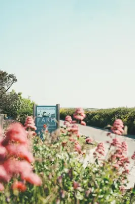 a group of people standing in a field of flowers at Glamping at Macdonald's Farm in Saint Ervan