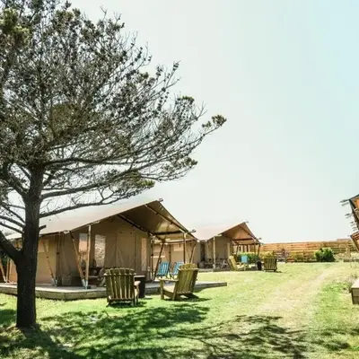 Glamping at Macdonald's Farm