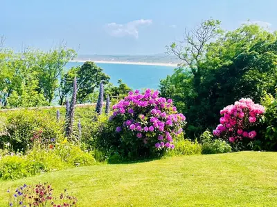 a garden with pink flowers on a hill next to the water at Millies in St Ives