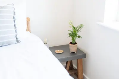 a plant sitting on a table next to a bed at The Bright House, St Eval - near Padstow, Mawgan Porth, Watergate, Bedruthan & Porthcothan in Saint Ervan