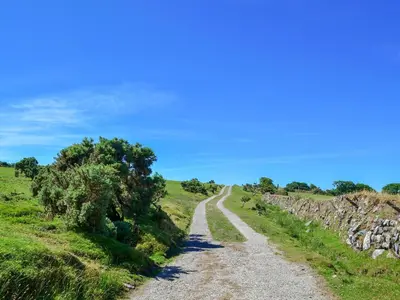 a gravel road in a field with a stone wall at Wallhouse Barn in Blisland