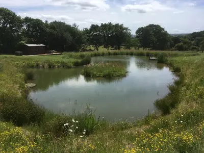 a pond in the middle of a field at The Stable in North Petherwin