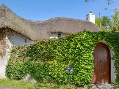 an ivy covered house with a door and a thatch roof at The Thatch Cottage in South Petherwin